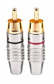 kuft rca250m пара тюльпанов папа, красный + черный, золоченый. сборка без пайки